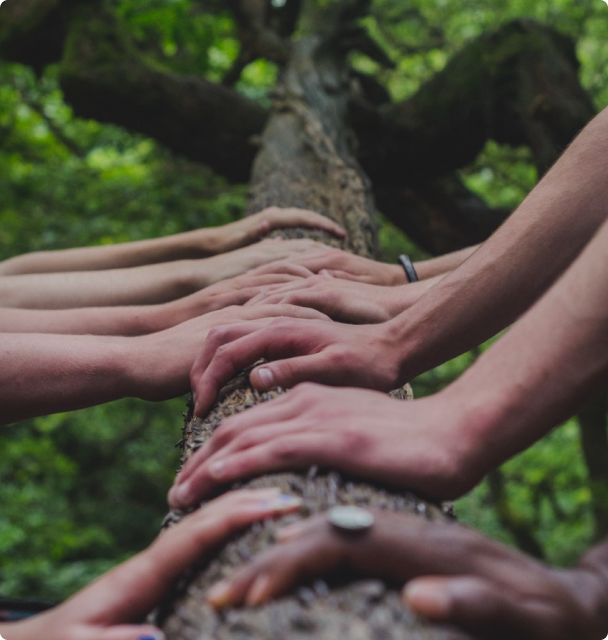 Community of hands on a branch